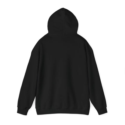 "Go find a payphone" Hoodie